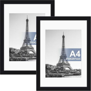 Raoendisa4z2ZbgǊ|tHgt[yʊz|X^[t[cuEu\ubNyTCY29.7x21cmz