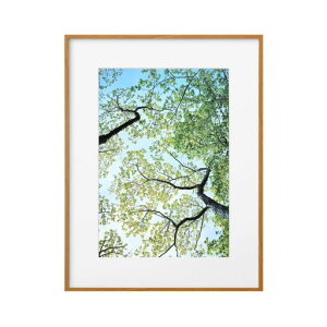 ハクバHAKUBA軽量額縁ZEROフレームG-01A3ナチュラルFZG01-A3NT