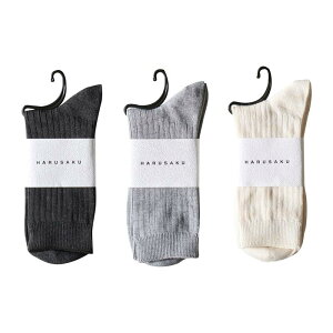 [HARUSAKU] [nTN] C Y u J[ 3P Zbg JWA ȍ \bNX N[\bNX