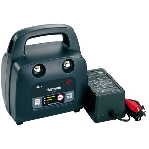 ns\(Hapyson) E^d[p[d 12Ahobe[pbN YQ-118