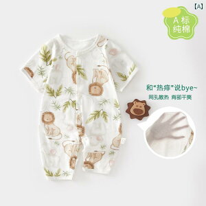 xr[@ėp@EFA xr[   O pc WvX[c 73 [h bV  A^  ĕ j̎q xr[p[X 6