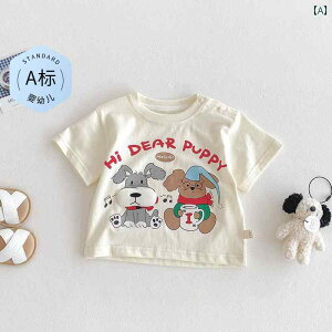 xr[@@Zbg j̎q  TVc 2025 EhlbN xr[ X^CbV  ĕ gbv  A JeS[