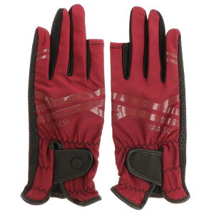 n^`iHATACHIj OEhSt EgXgb`O[u