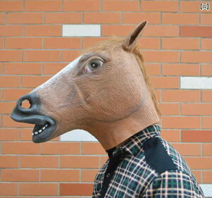 ʁ@p[eB@RXv j ߂ 키 5l q nEB   }XN xjX  n  wbh Jo[