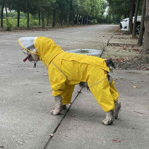 p@CR[g@ ̂  y ^  CR[g Wbp[ 4{  I[CN[Vu h efB ViEU[