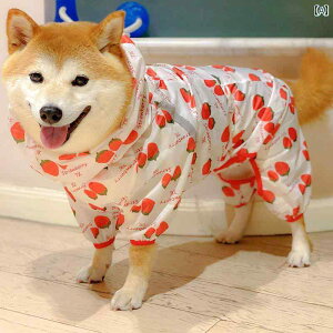 p@CR[g@ p CR[g ^  l{   I[CN[Vu ybg Č ~ 킢 lbg