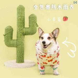 p@CR[g@ ybg ̂ CR[g t pbP[W h }` J[ R[M[ WPbg Z r Jo[  킢 h J