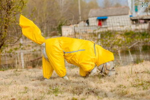 p@CR[g@ ^  ^ nXL[ {[_[R[ S[fgo[ AXJ uh[ TGh |`p I[CN[Vu h CR[g