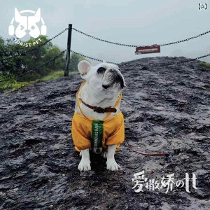 p@CR[g@ TT t@~[ t`uhbO pO C  R[g R[M[ Č CR[g ybg  rV h   l  EBhu[J[