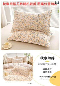 @Jo[  Jo[ 1 g 2024 Ȃ qp  48 x 74 cm ebNX cC _u 킢