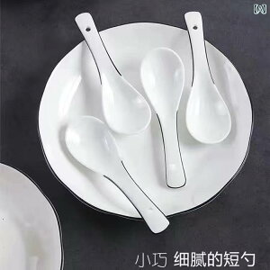 Xv[@XeX ƒp  Z~bN X[v Xv[ 10{B k Hp X[vp 퐻 i Ɩp ubN C Xv[B