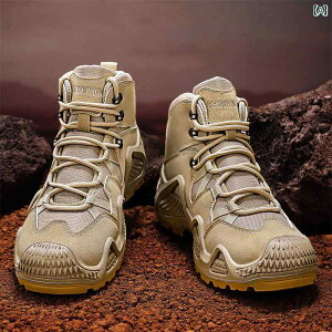 nCJbg@V[Y@Y nCJbg Y t X|[c ~ AEghA nCLO V[Y [NEFA J ی ϖ T}[ u[c 45