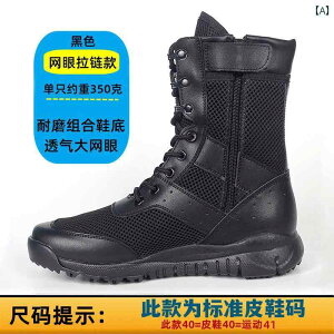 nCJbg@V[Y@Y ėp Robgu[c Y Wbp[ g[jO V[Y fB[X bV ʋC ^NeBJ u[c nCJbg ZLeB y Robg