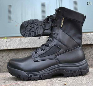 nCJbg@V[Y@Y  t CQB y 퓬 u[c ^NeBJ ~^[t@ V[Y Y ʋC ZLeBg[jO