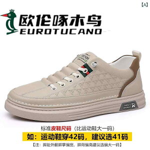 rWlXV[Y@vC@Y Oulun Woodpecker 2024 Y rWlX JWA V[Y ~ \tg \[ U[ ʋC Xj[J[ zCg