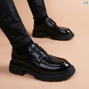 rWlXV[Y@vC@Y  傫 Y  U[V[Y 2025  v ʋC JWA _[r[ V[Y