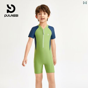 @qp@킢 Pulassi qp  j̎qp v g[jO ^ 2025N j pc