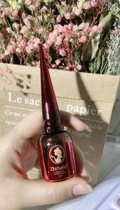 lC A[g pb` lbg̏ g   X^C X̂悤  썑 O[vt[c F }jLA   t`lC T  F