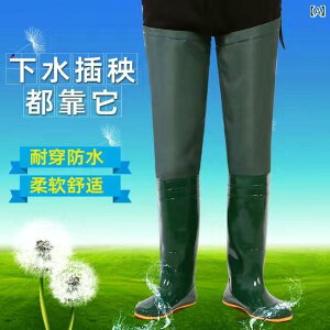 Cu[c@C@fB[X Y fB[X \tg {g c \bNX X[p[ nC I[o[j[ _E tB[h V[Y O [ u[c  ߂ _n Cu