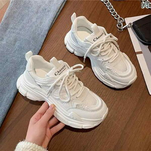 fB[X@_bh@V[Y _fB V[Y fB[XV[Y 2025 t  \ jO ʋC zCg X|[c JWA