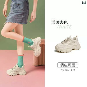 fB[X@_bh@V[Y L fB[XV[Y 2025 t  _bh V[Y fB[X g Abv JWA X|[c