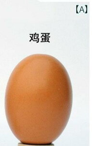 @킢@ qp ؐ  yCg tFCN GbO Aq k vCnEX  C[X^[  DIY