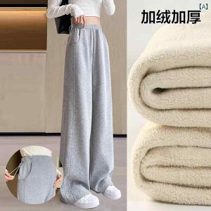 Dwp@pc@MX }^jeBpc 2025 tH AE^[ Xg[g oii pc H~ N   TCY JWA