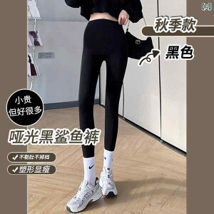 Dwp@pc@MX }^jeBpc tH V[N pc H~ AE^[EFA N  MX K o[r[ t