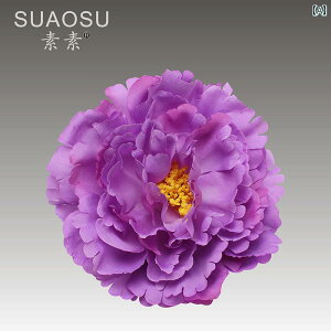 �w�A�@�A�N�Z�T���[�@���f�B�[�X ���e�� �_���X�� �w�b�h �t�����[ �X�y�C�� ���� ���_�� �w�A �A�N�Z�T���[ �v���� �X�e�[�W �p�t�H�[�}���X ���Z�� �h���X �s�� �N���b�v