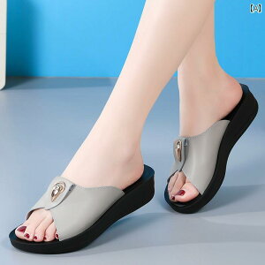 Xbp@V[Y@JWA \bh {gfB[X ėp \tgU[ T_ AEghAp JWA V[Y \tg {g }}p ~ r[`