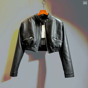 fB[X@R[g@WPbg i 2025 H X^C V[g oCN WPbg gbv nCEGXg PU U[WPbg fB[X