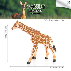 @@킢 qp ͌^ 쐶   i  L wWJ AJ VJ giJC