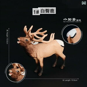 @@킢 Fm V~[V 쐶  VJ AJ giJC wWJ   i l`