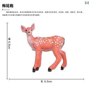 @@킢 쐶  V~[V k[  JVJ AJ VJVJ giJC q Ȋw  Fm Mtg