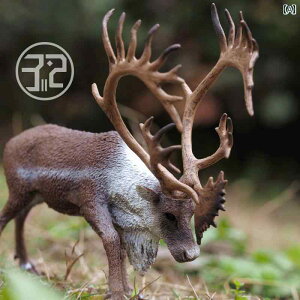 @@킢 k AJ giJC CollectA I Ȃ  V~[V 쐶  ߋ  88709