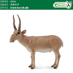 @zr[@ CMX CollectA I Ȃ  쐶   X ͌^ ߋ Fm Ae[v giJC RNV