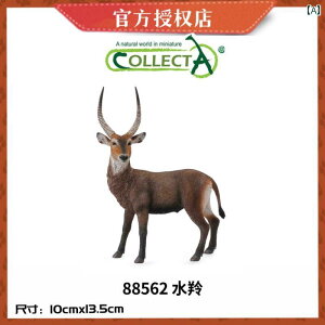 @zr[@   Collecta 쐶   V~[V L  JVJ