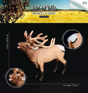 @zr[@ q ͋[  Ae[v  wWJ jz WJ giJC p }zK v[ AtJ   i