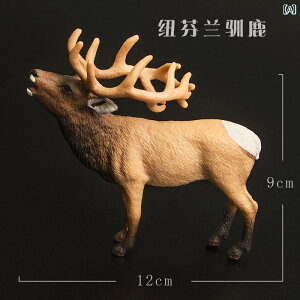 @zr[@ ͋[  j[t@hh giJC j bh fBA zCge[  vX`bN ő q  j̎q ̎q Mtg