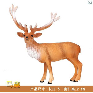 @zr[@ 쐶  E ͋[ Y    giJC ő jz WJ q  j̎q Mtg