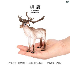 @zr[@ q [ V~[V 쐶   giJC ZURE ANC c`u^  i \bh