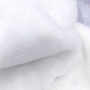 z@n@n@ 10 mm Í  tFCN bNX ETM є n ʂ l`  JE^[ fBXvC wi