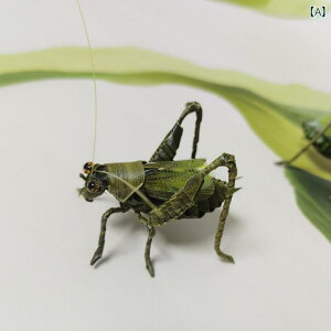 @G݁@i@  `  Y V ҂ݎ  ҂݂ LMX  i ƒ  Mtg