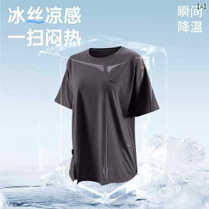 @fB[X@TVc@ mm 傫 TCY tBbglXEFA  fB[X    X|[c TVc jO g[jO X K gbvX