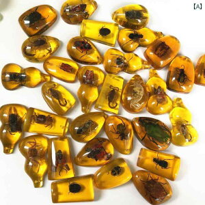 @@zr[ ߂  W{ y_g uCh {bNX  q   Ȋw  i w