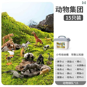  zr[  zr[ V~[V  q    Zbg Fm t t@[ [ {bNX t