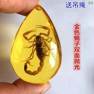 @@zr[ ߂  W{ T\  Jj y_g wZ   q Ȋw   i Mtg