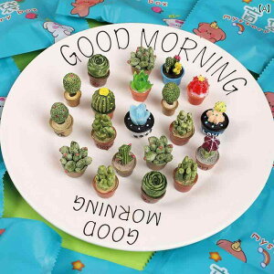  zr[  zr[ ΂ A Mtg obO ~j`A V~[V ~j  A i   w qp {bNX