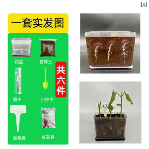  zr[  zr[ q R A  ώ@ {bNX w y |{ s[ibc At ȊwI  