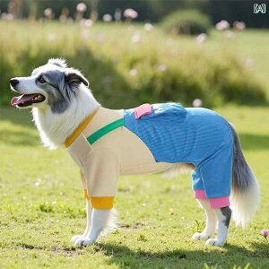 񂿂 ybg 킢 ^   tH X^C S[fgo[  ^ ^  uh[ {[_[R[  h~ 4{  ybg t